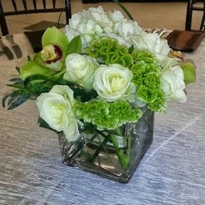 Meet your Posher, Lisa